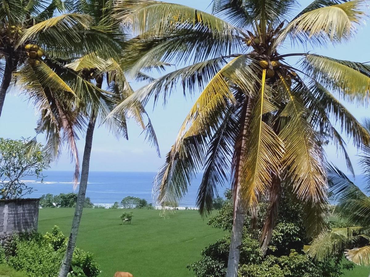 Medewi Beach View Villa Jembrana  Экстерьер фото